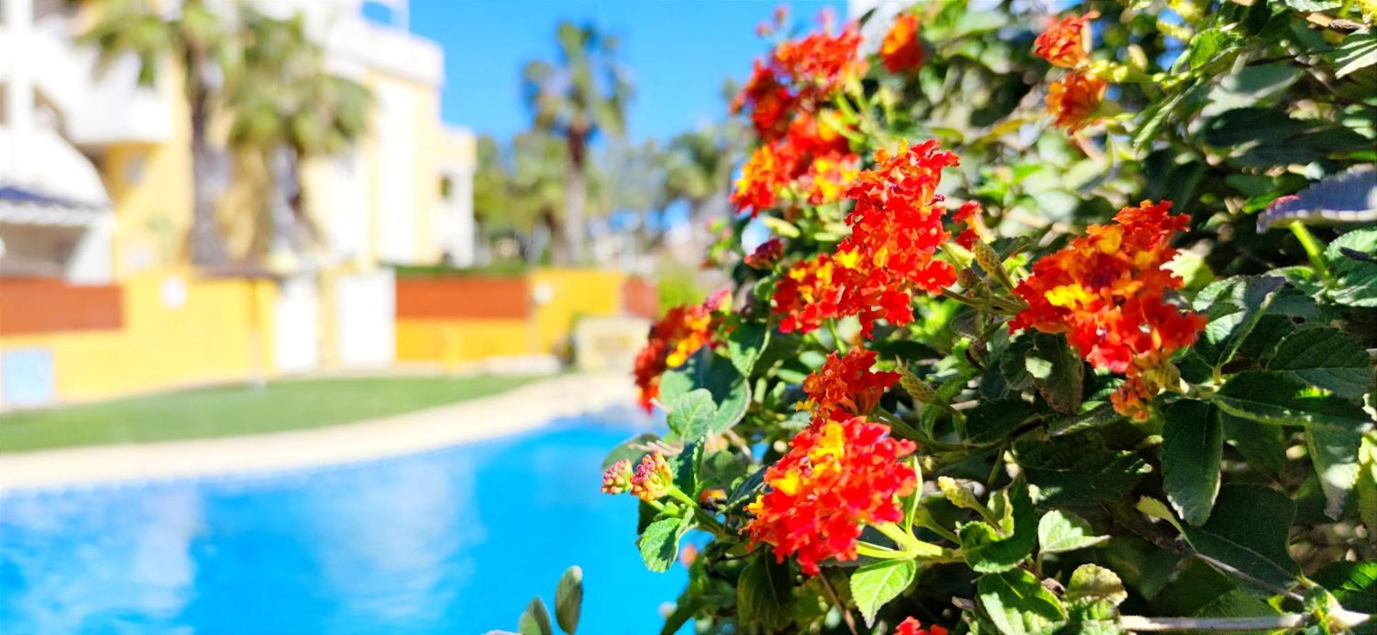 Apartamento Playa Sol By Denia Costa Luaran gambar
