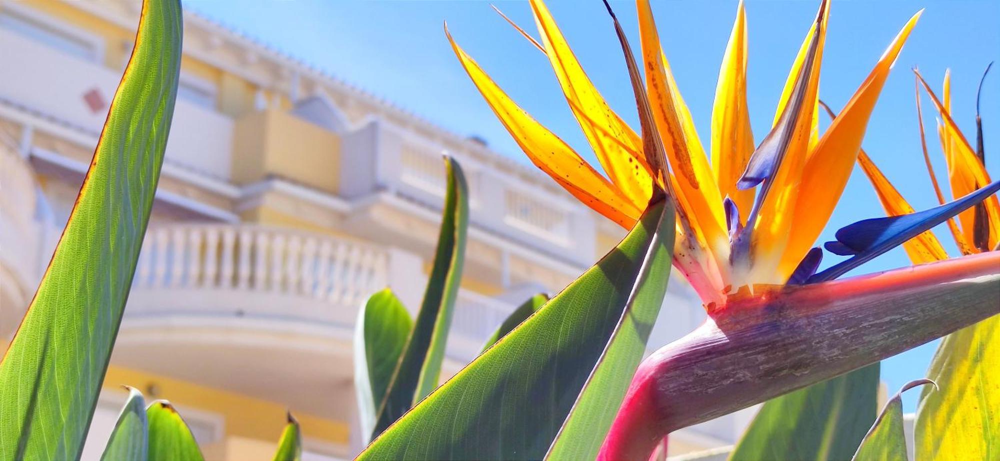 Apartamento Playa Sol By Denia Costa Luaran gambar